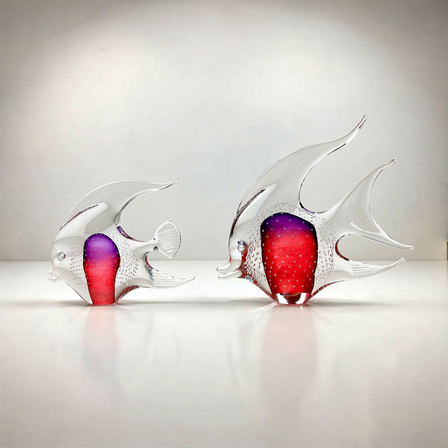 Ryba Skalára s bublinami 1+1