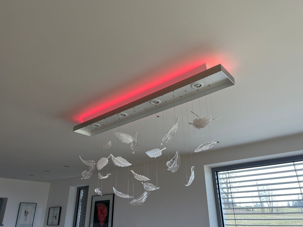 Falling Feathers